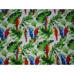 Bavlněné plátno - papoušci